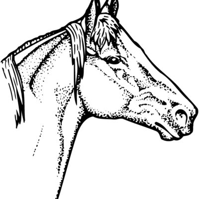 HORSE010 Thumbnail
