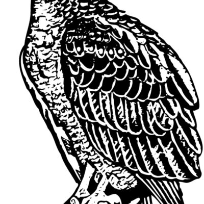 EAGLE019 Thumbnail